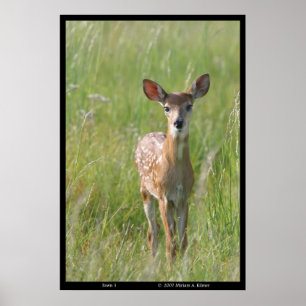 Póster Fotografía de naturaleza "Fawn 1", huella de cierv