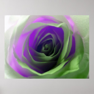 Póster Fotografía de Neon Rosa