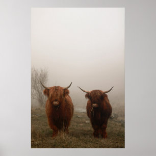 Póster Fotografía de niebla bovina en la región montañosa