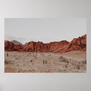 PÓSTER FOTOGRAFÍA DE PAISAJE DE MONTAÑA