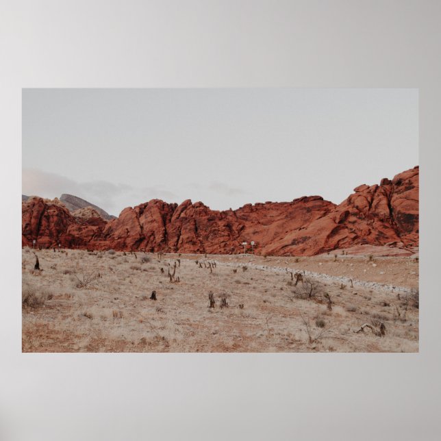 PÓSTER FOTOGRAFÍA DE PAISAJE DE MONTAÑA (Frente)