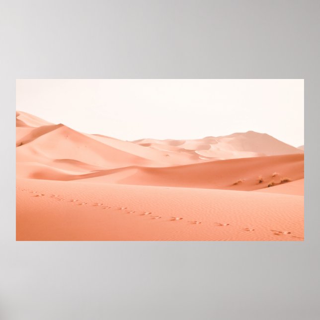 PÓSTER FOTOGRAFÍA DE PAISAJE DE POSTRE (Frente)