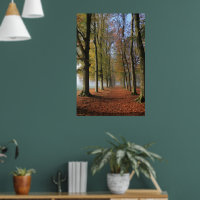 Fotografía de paisajes naturales árboles otoñales