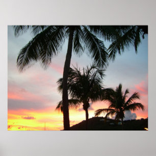 Póster Fotografía de paisajes tropicales de palmas de sol