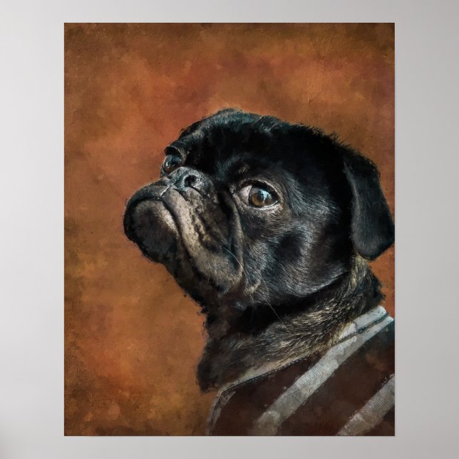 Póster Fotografía de perro negro de pug (Frente)