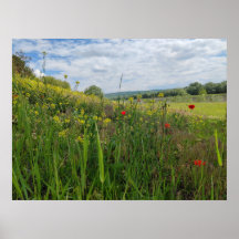Fotografía de primavera a orillas del río