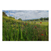 Fotografía de primavera a orillas del río