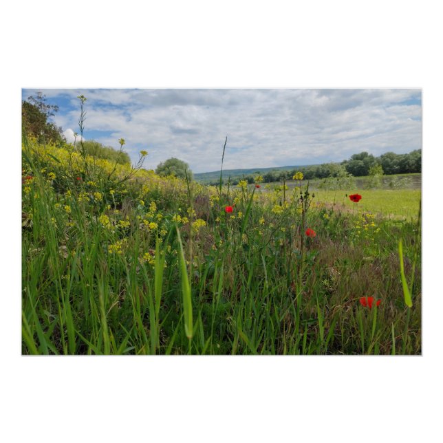 Póster Fotografía de primavera a orillas del río (Anverso)