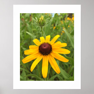 Póster Fotografía de primer plano de flor y capullo de Ru