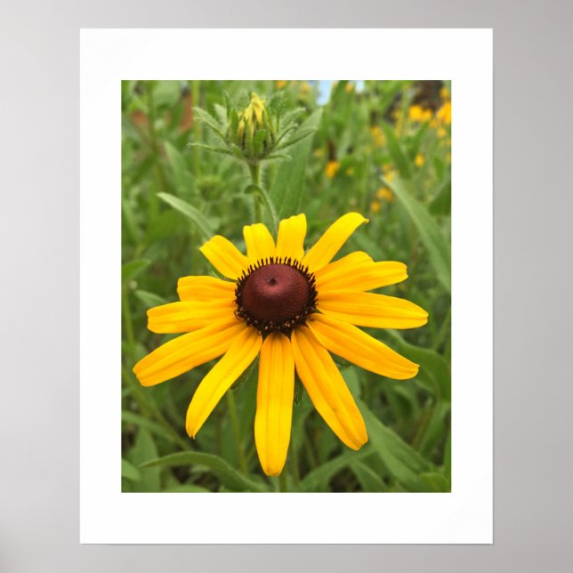 Póster Fotografía de primer plano de flor y capullo de Ru (Frente)