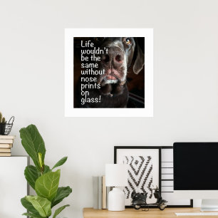 Póster Fotografía de primer plano de la nariz de un Labra