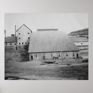 Póster Fotografía de Reducción de Madera Muerta