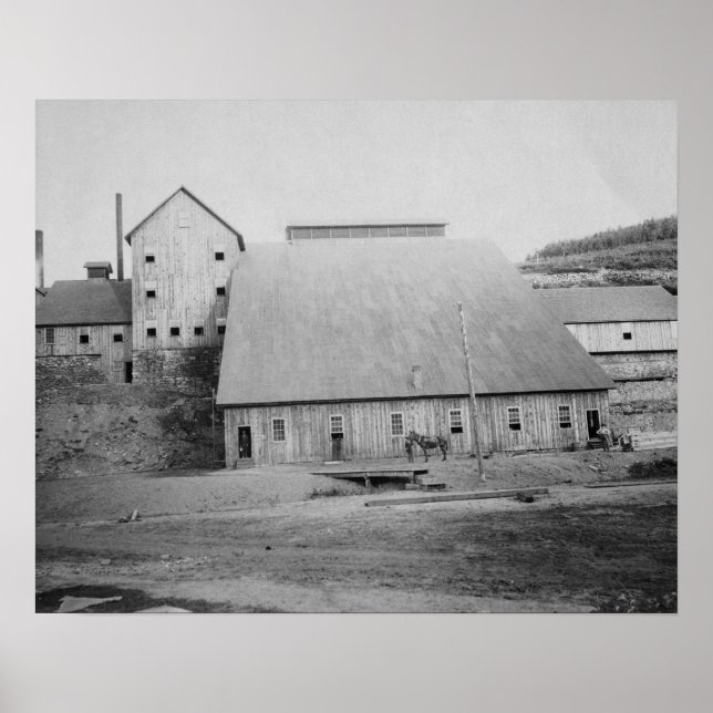 Póster Fotografía de Reducción de Madera Muerta (Frente)