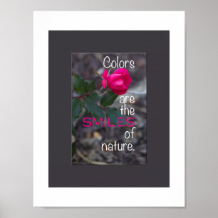 Póster Fotografía de rosa rosa doblada individual