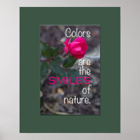Fotografía de rosa rosado plegable simple