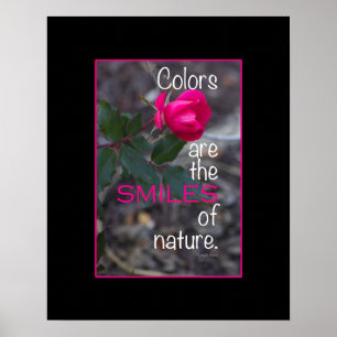 Póster Fotografía de rosa rosado plegable simple