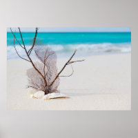 Fotografía de Seashells en una playa de arena