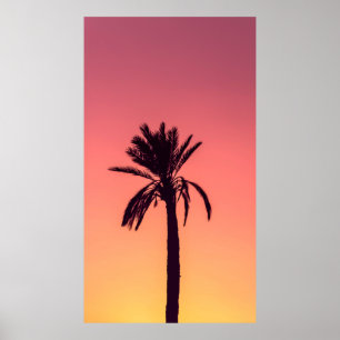 Póster Fotografía de silueta de palmera