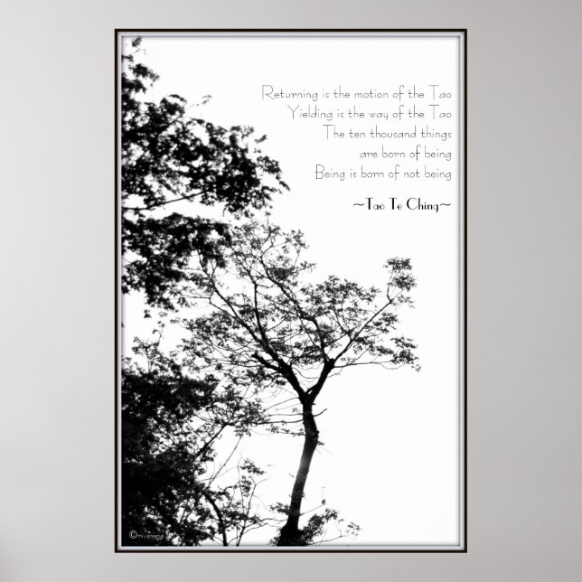 Póster Fotografía de Tao Te Ching/Sunset Tree B&W (Frente)