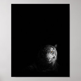 Póster Fotografía de tigres, negros y blancos,