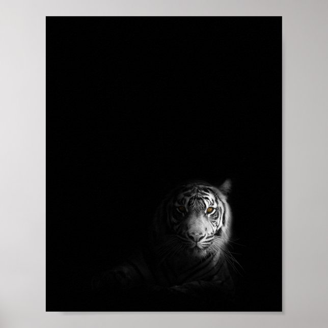 Póster Fotografía de tigres, negros y blancos, (Frente)
