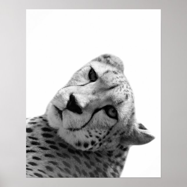 Póster Fotografía de un animal de la selva leopardo de ch (Frente)