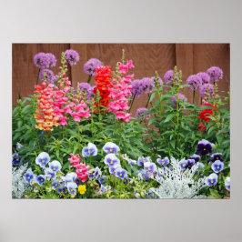 Póster Fotografía de un jardín de flores colorida