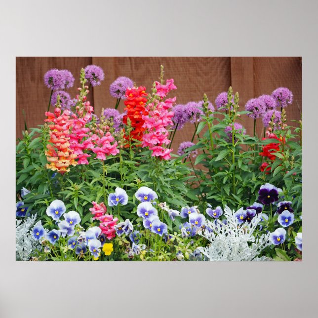 Póster Fotografía de un jardín de flores colorida (Frente)