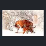 Póster Fotografía de un tigre y un cachorro jugando en la<br><div class="desc">Fotografía de un tigre y un cachorro jugando en la nieve. — ¿Desea elegir su PROPIO TAMAÑO DE POSTER O AGREGAR TEXTO? ¡Usa la herramienta "Personalizar"! — ¿Qué tal el nombre de alguien, un cumpleaños o Navidades saludando, un lugar y una fecha?, para crear un regalo único y original. —...</div>