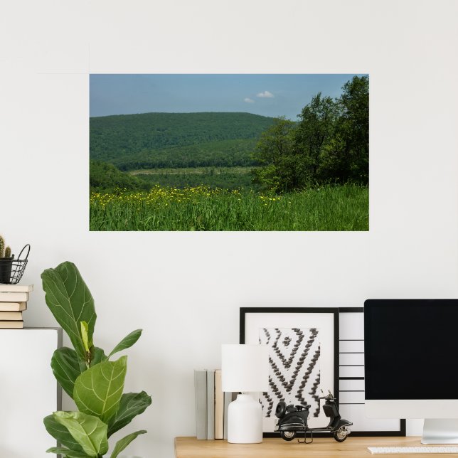 Póster Fotografía de verano de Laurel Highlands Pennsylva (Oficina en casa)