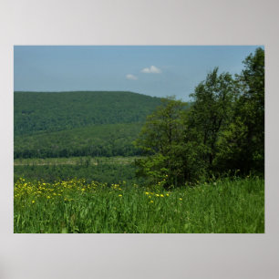 Póster Fotografía de verano de Laurel Highlands Pennsylva
