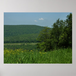 Póster Fotografía de verano de Laurel Highlands Pennsylva