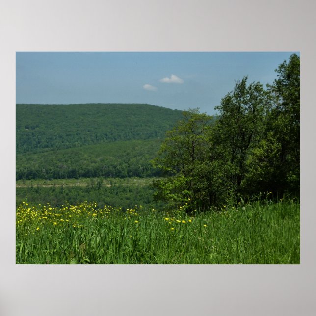 Póster Fotografía de verano de Laurel Highlands Pennsylva (Frente)