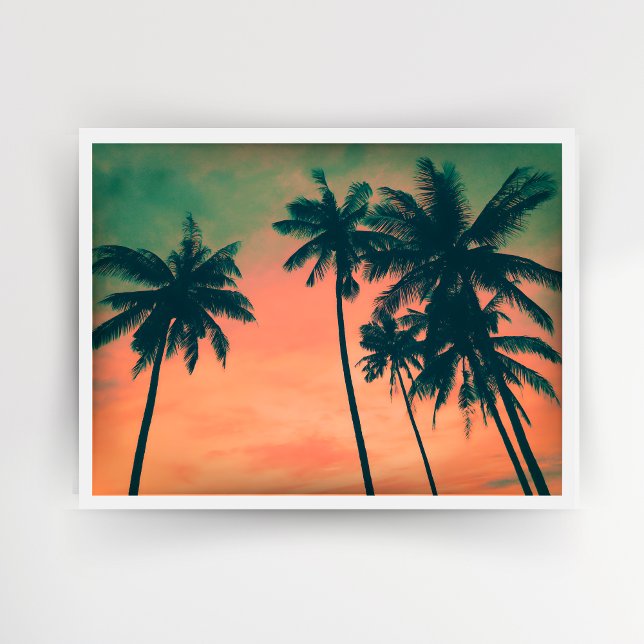 Póster Fotografía de viaje por la cresta de sol y palmera (Subido por el creador)