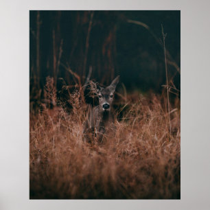 PÓSTER FOTOGRAFÍA DE WILDLIFE DE CERVEZA GRIS RODEADA POR
