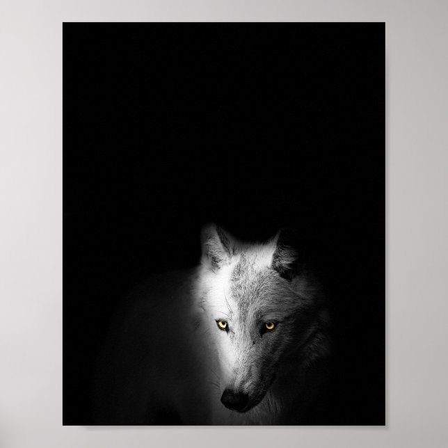 Póster Fotografía de Wolf, moderna, en blanco y negro, (Frente)