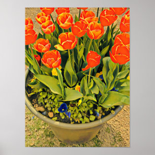 Póster Fotografía del festival de flores naranja Tulips