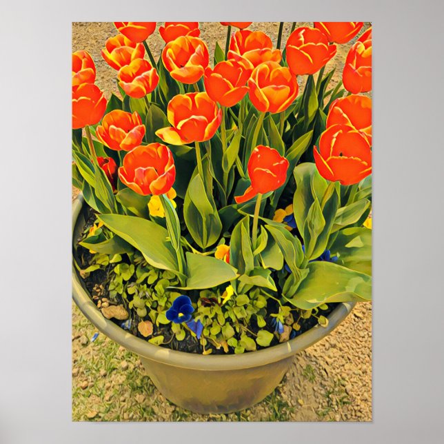 Póster Fotografía del festival de flores naranja Tulips (Frente)