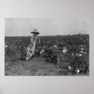 Póster Fotografía del oeste, Tejas del algodón de la