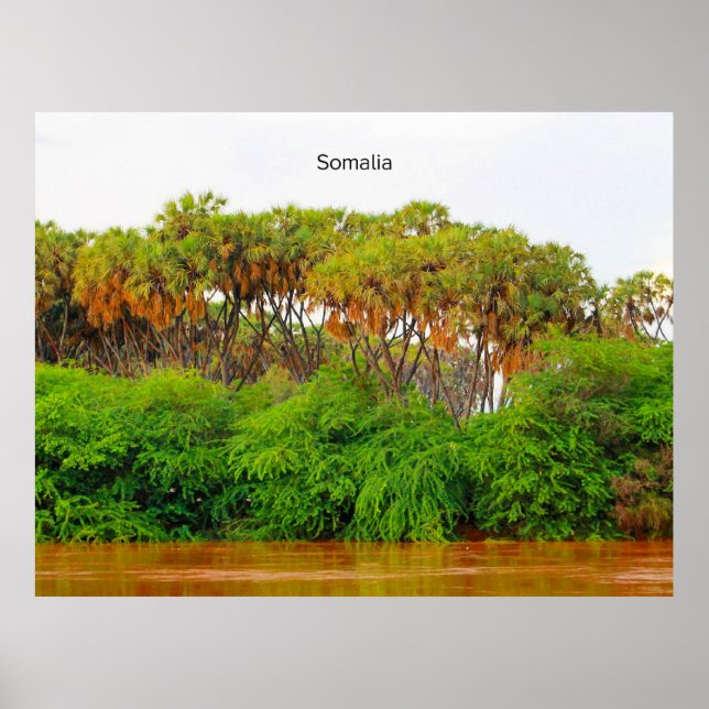 Póster Fotografía del paisaje de Somalia (Frente)