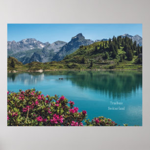 Póster Fotografía del paisaje de Truebsee, Suiza