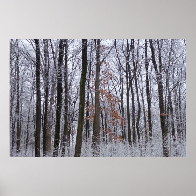 Póster Fotografía del paisaje invernal de la nieve desech (Frente)