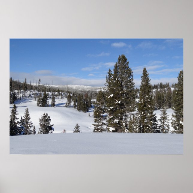Póster Fotografía del paisaje invernal de Yellowstone (Frente)