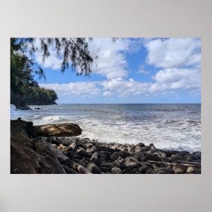 Póster Fotografía del paisaje natural hawaiano