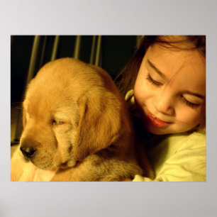 Póster Fotografía del perro de perrito del golden