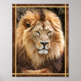 Póster Fotografía del Rey León