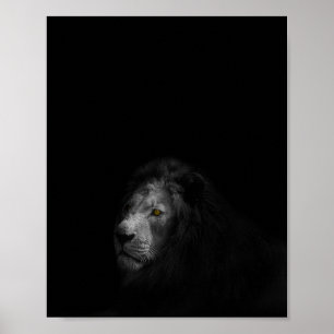 Póster Fotografía en blanco, negro y león,