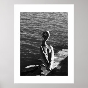 Póster Fotografía en blanco y negro de Grace California