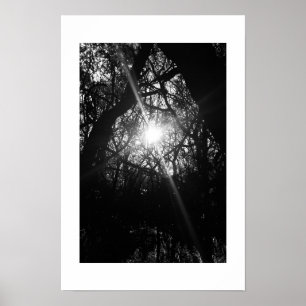 Póster Fotografía en blanco y negro de Hawaii entrelazada