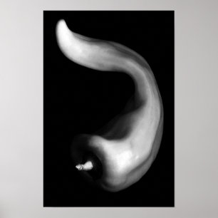 Póster Fotografía en blanco y negro de pimiento curvo de